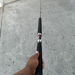 California Rod By Penn