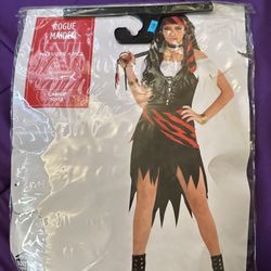 Rogue Maiden Costume