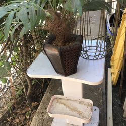 Plant Holders Plant Fake For Home Garden Deco All For $40 Obo I Can Also Sell Per Item Good Condition 