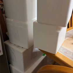 Styrofoam 3 Different Sizes with Freezer Packs FREE
