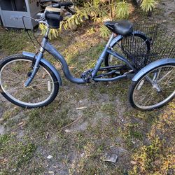 Tricycle bike size 24