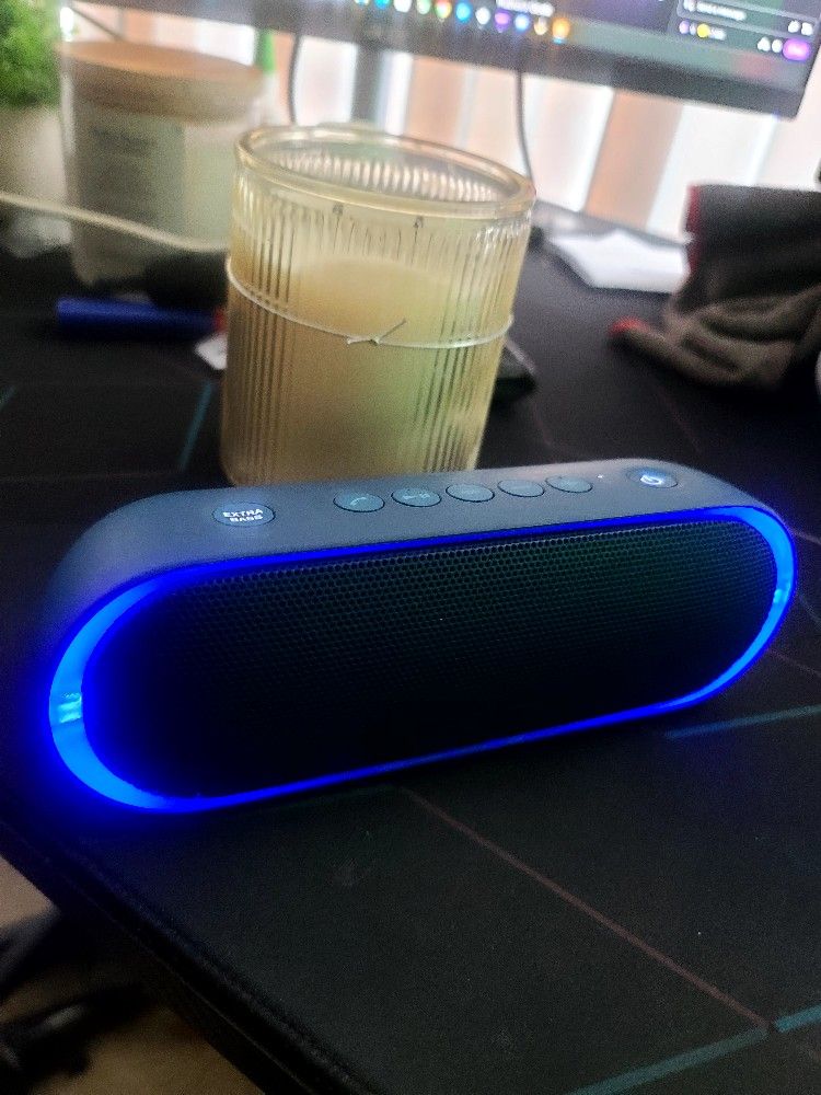 SONY SRSXB20
