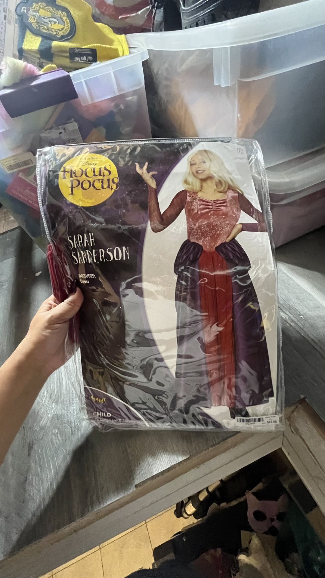 Hocus Pocus  Costume 