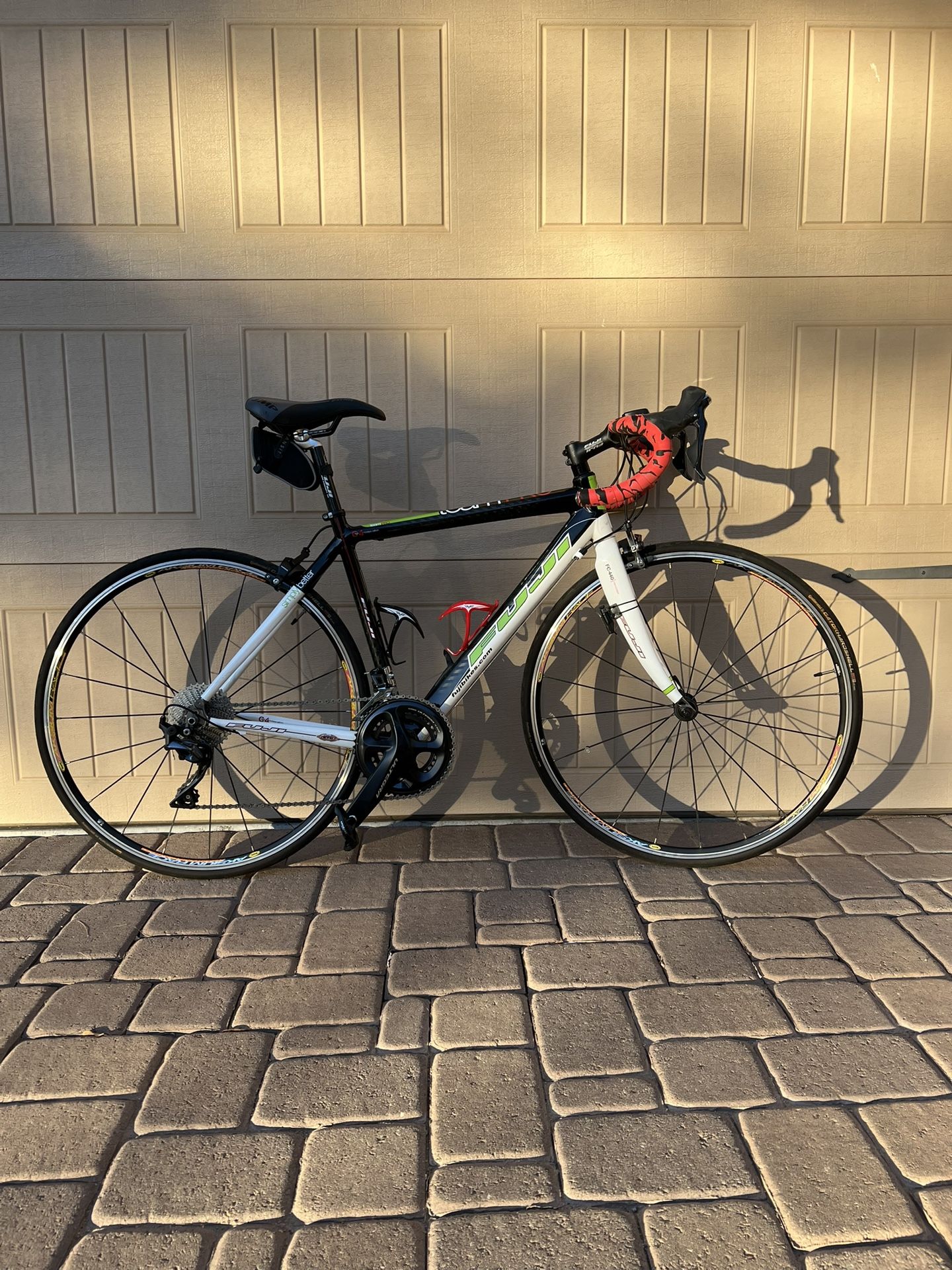 Fuji Team Pro Road Bike