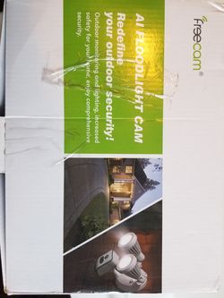 Security cam with lights