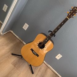 Acoustic Guitar + Hard Carrying Case 