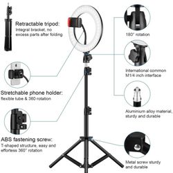 Studio Photography Light