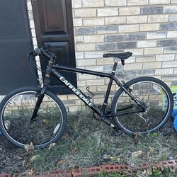 Bicycal