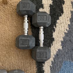 20lb Hand Weights