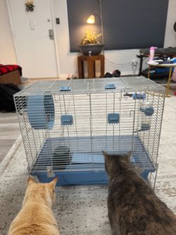 Hamster Cage with Accessories