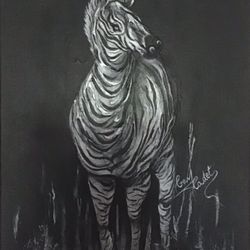 Zebra