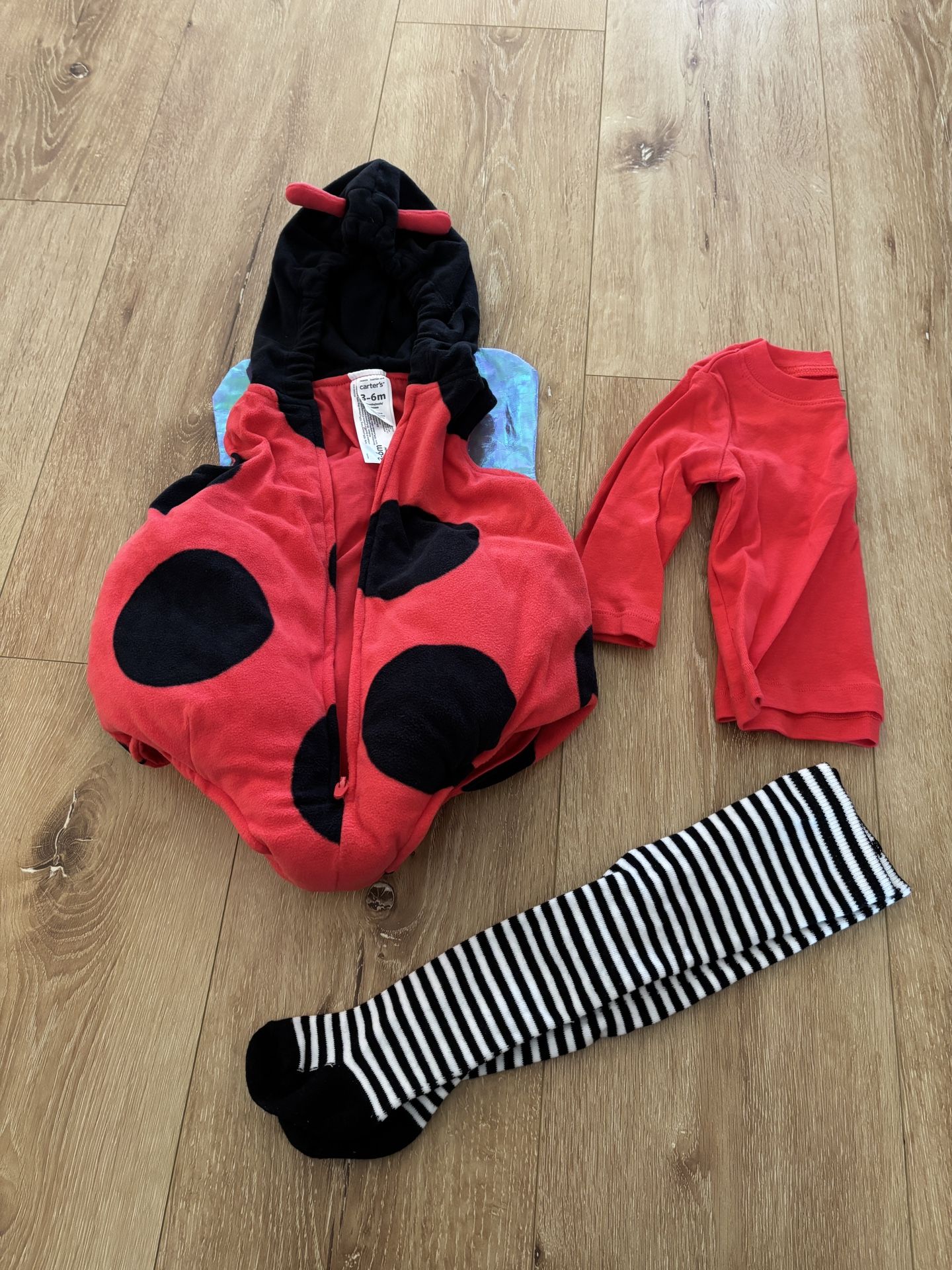 Lady Bug Halloween Costume