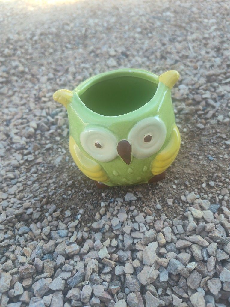 Owl Cup