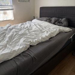 Queen Bed And Frame