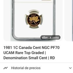 Penny Coletion 500 Obo All 