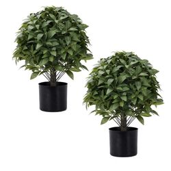 ****Beautiful 20” Boxwood Topiary Shrub***Ihave2sets
