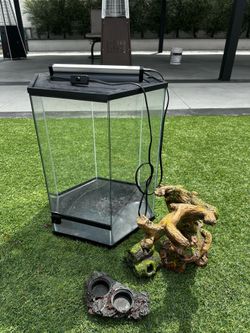 Gecko tank