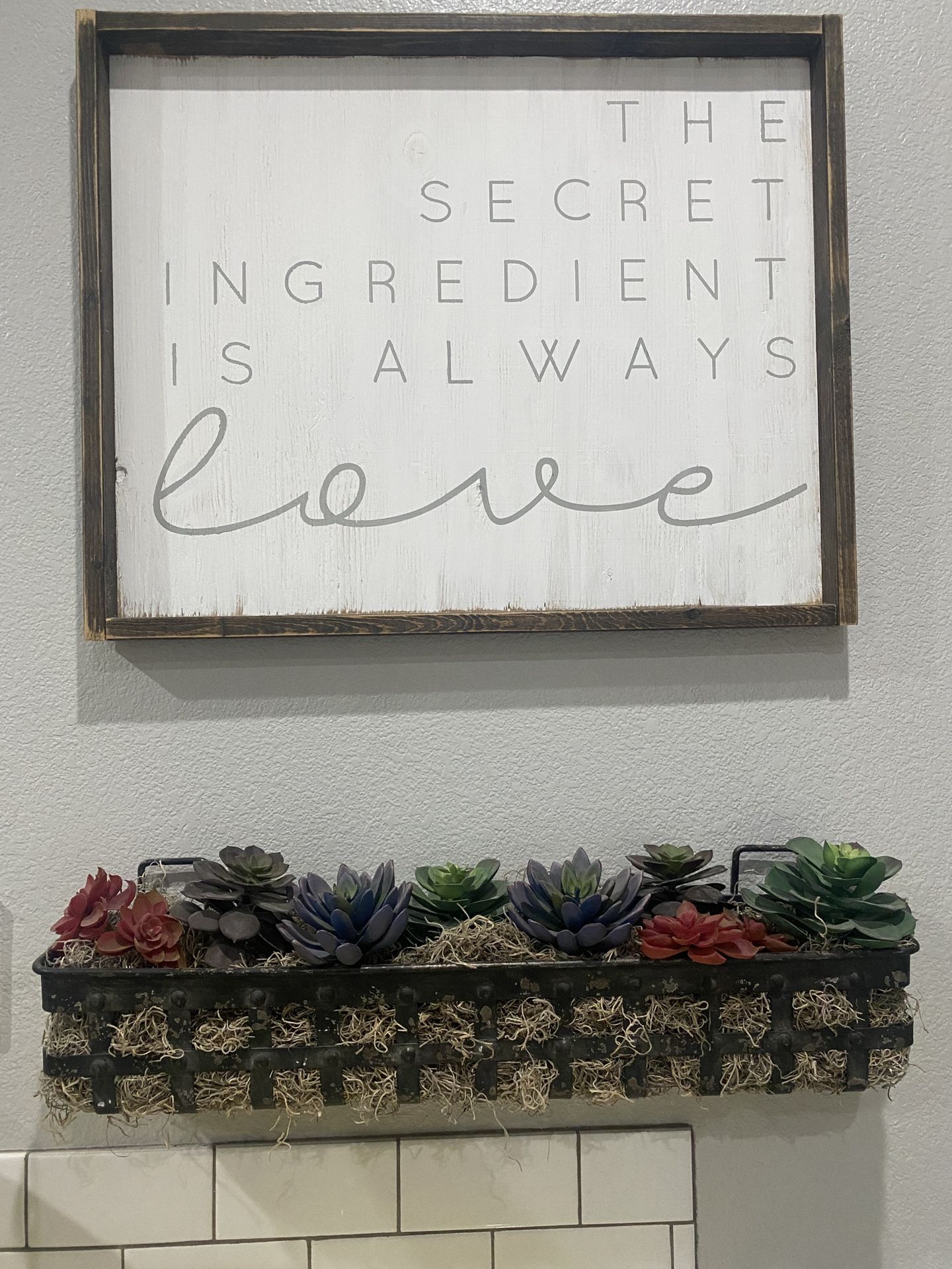 Metal Succulent Display
