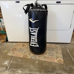 Everlast Punching Bag