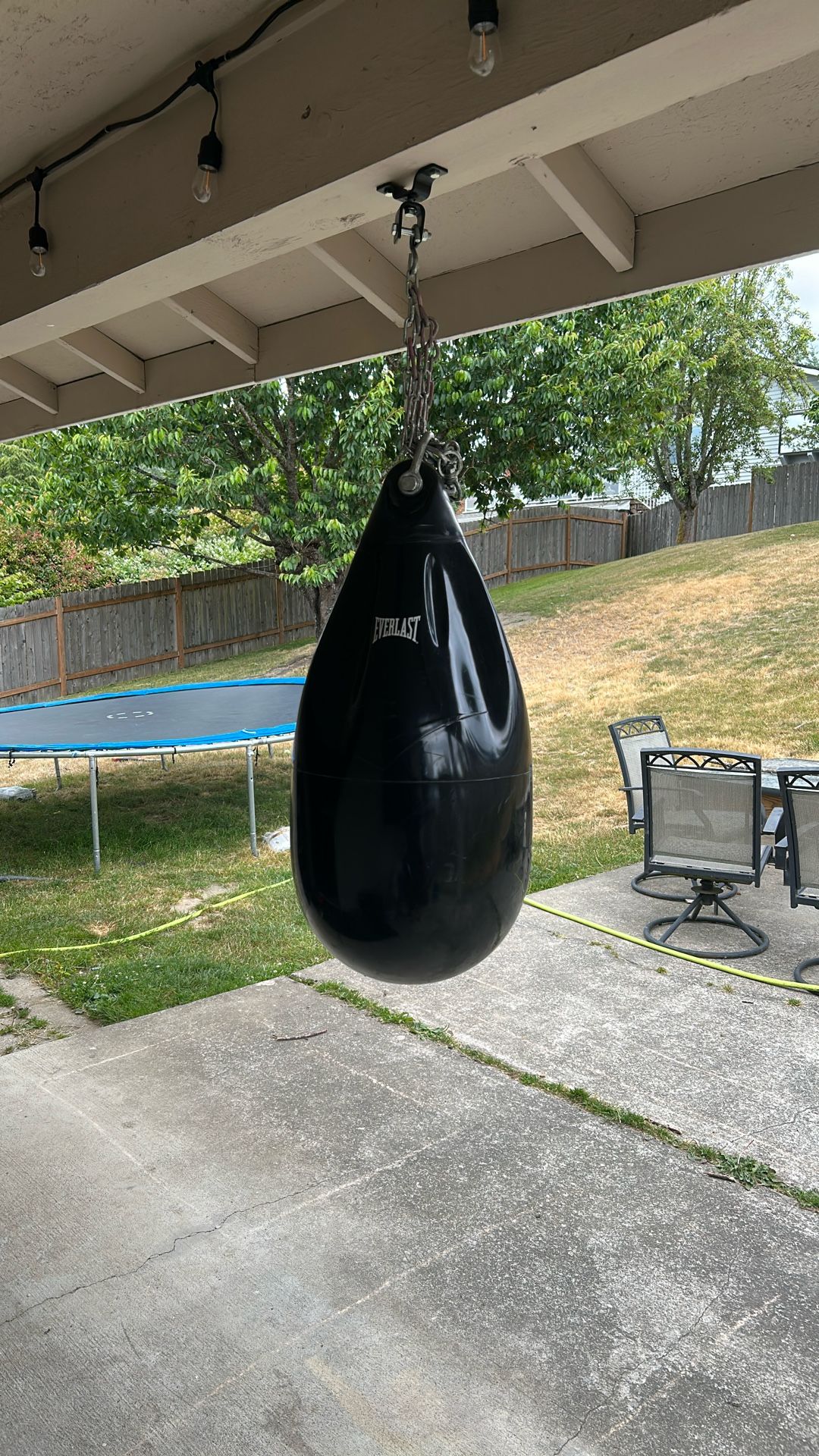 Everlast Water Punching Bag.