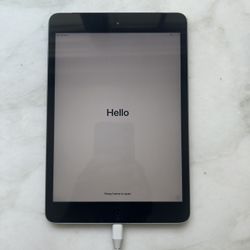 Apple iPad Mini 2: 16GB