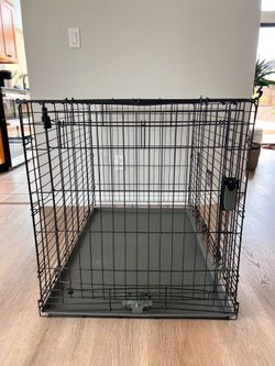 42x28in XL Dog Crate with divider panel