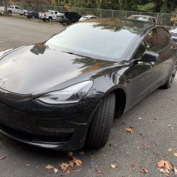 2021 Tesla Model 3 Stand Plua