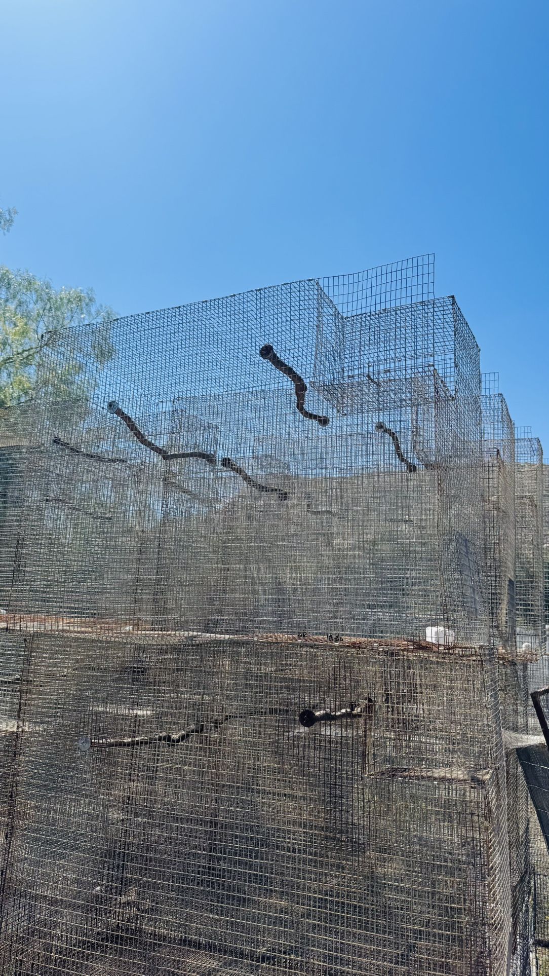 Cage