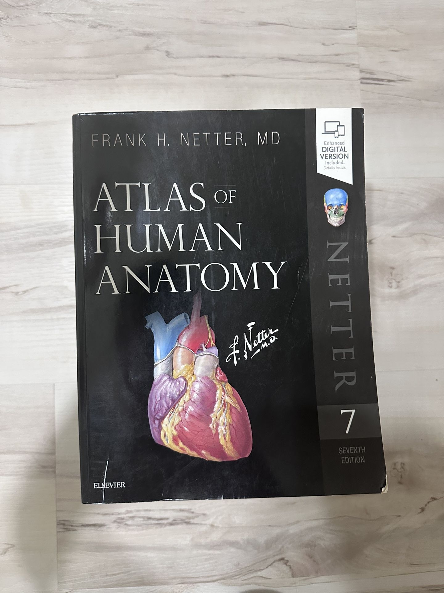 Atlas human anatomy