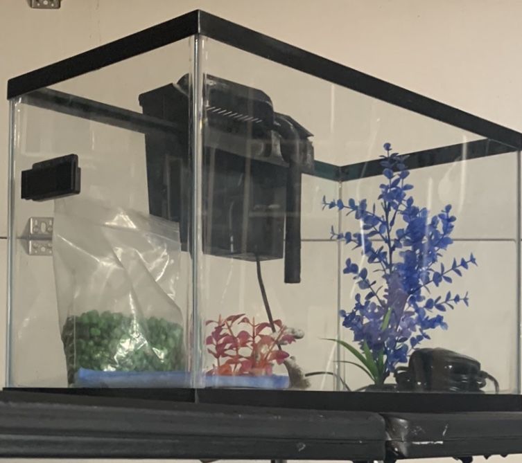 FISH TANK, 10 GALLONS