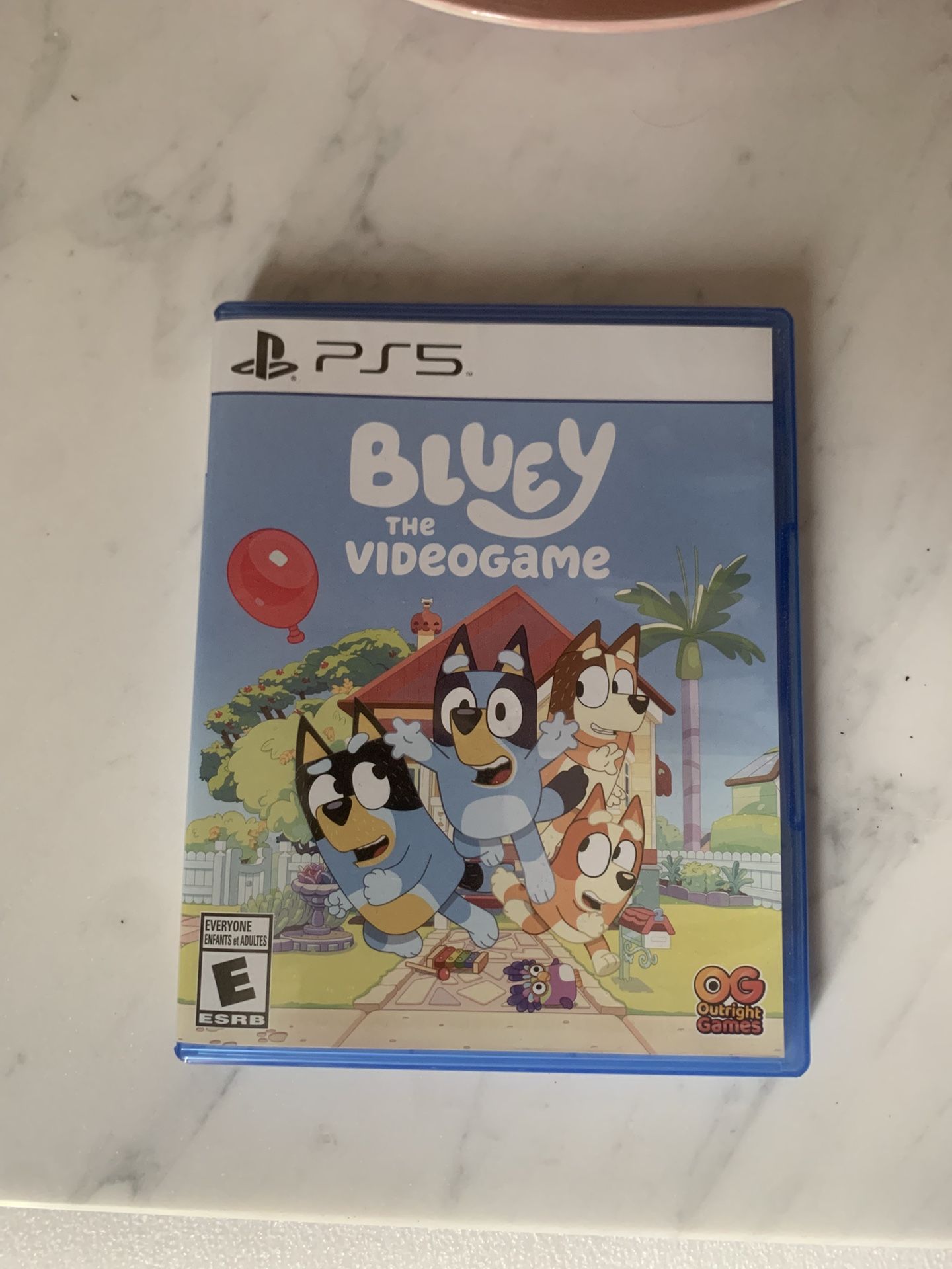Bluey The Video game Sony PlayStation 5 Game 