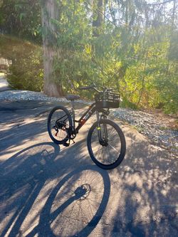 Electric bike