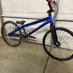 Squared CEO Expert Xl 