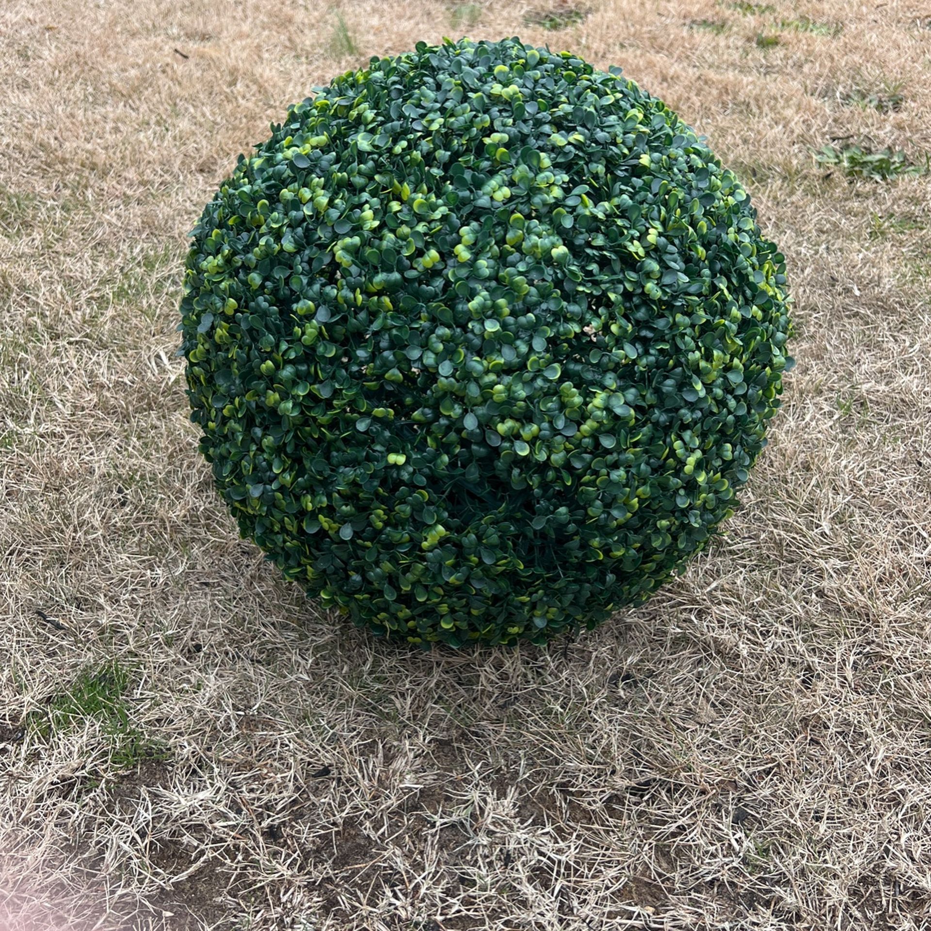 36” inch topiary decoration boxwood
