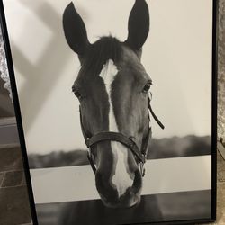 Framed Canvas “Meadow”
