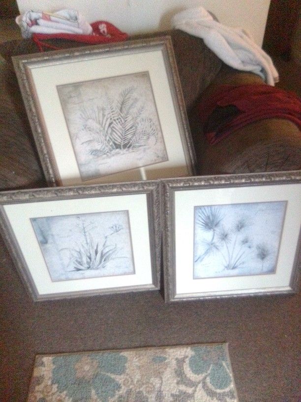 Wall Pictures