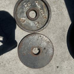 10 Pound Olympic Bar
