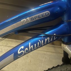 Schwinn 21 Speed 