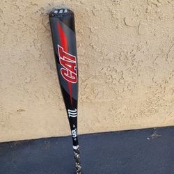 Young Baseball Bat "31"