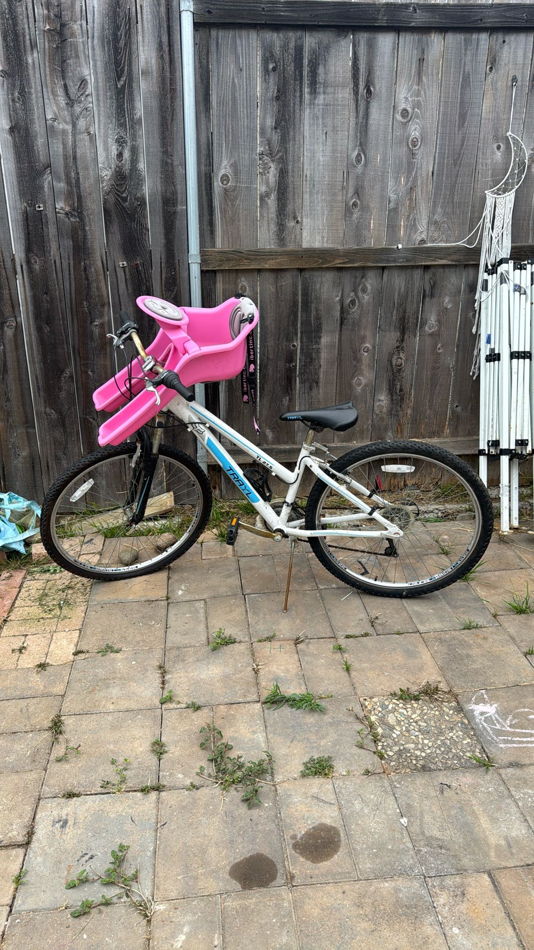 Adult Bike