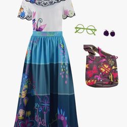 Encanto Family Costumes!! 