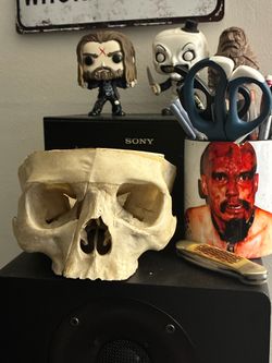 Real partial human skull. Totally legal and ethical.