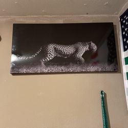 Poster , Hang On The Wall 