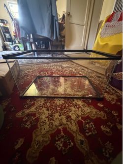 10 Gallon Reptile Tank Glass Natural Cages Terrarium