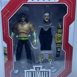 WWE Ultimate Edition Fan Takeover Jeff Hardy