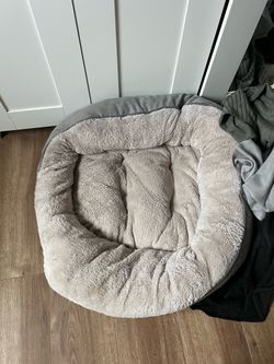 Free dog bed