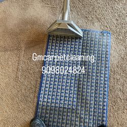 Carpet Cleaner