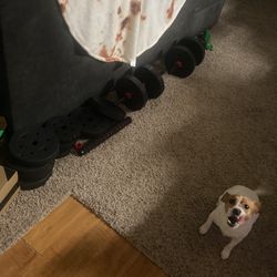 80lb Weight Set With Barbell And Dumbbell Attachment 