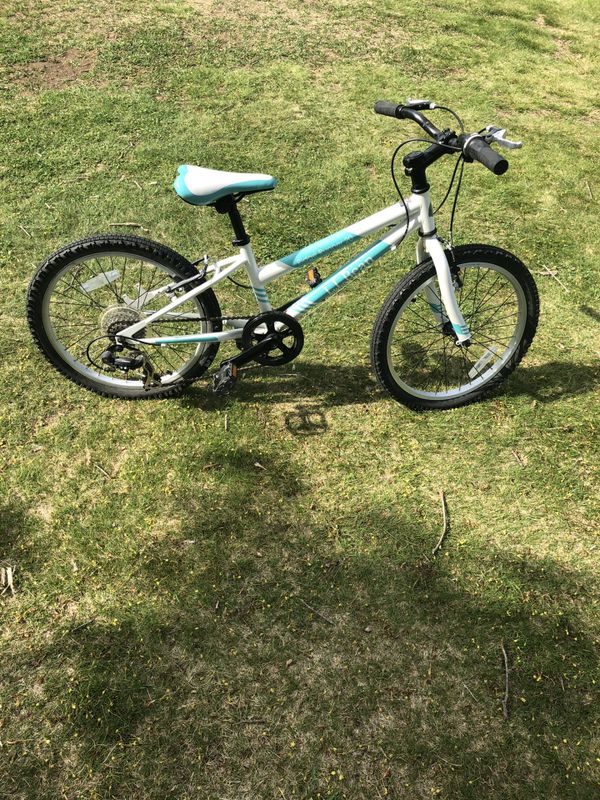 ll bean schwinn bicycles