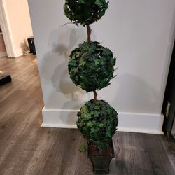 Cute Greenery Decor!!